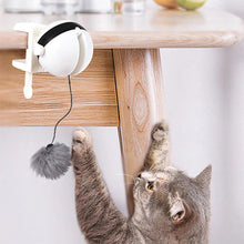 Interactive Pet Cat Toy