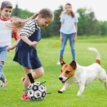 Interactive Training Dog Football Toy with Grab Tabs