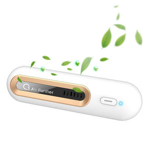 Sustainable Air Purifier