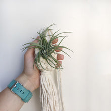 Hand-Woven Macrame Wall Hanging Planter