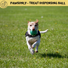 Treat Dispenser Dog Toy Ball