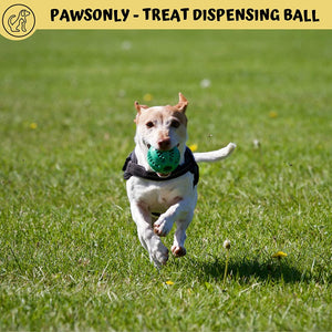 Treat Dispenser Dog Toy Ball