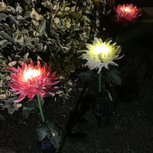 Solar Flower Stake Lights