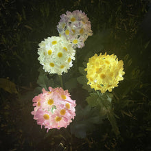 Daisy Solar Flower Light