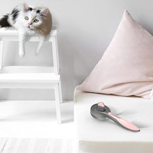 Pet Grooming Brush