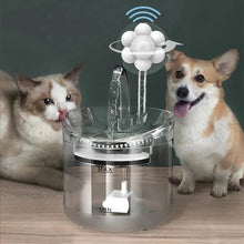 Pet Water Fountain Filter Drinker