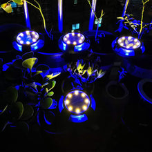 LED Solar Powered Driveway Dock Lights