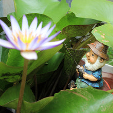 Outdoor Garden Gnome Statues