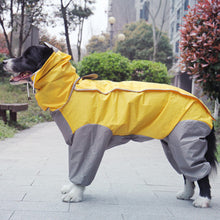 Dog Raincoat