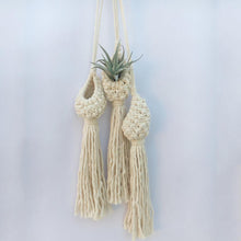 Hand-Woven Macrame Wall Hanging Planter