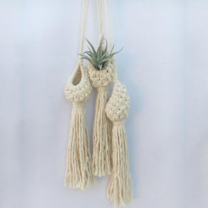 Hand-Woven Macrame Wall Hanging Planter
