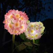Daisy Solar Flower Light