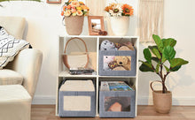 Visible Foldable Fabric Storage Boxes