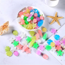 Luminous Glowing Shell Shaped Stones