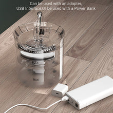 Pet Water Fountain Filter Drinker
