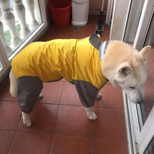 Dog Raincoat