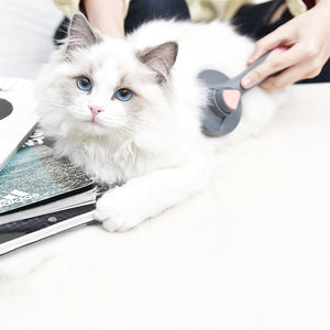 Pet Grooming Brush