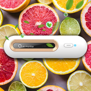 Sustainable Air Purifier