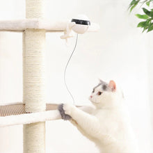 Interactive Pet Cat Toy