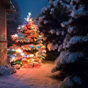 Battery Powered LED String Lights