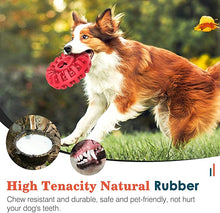 Dog Treat Dispenser Chewers Toy