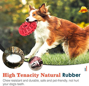 Dog Treat Dispenser Chewers Toy