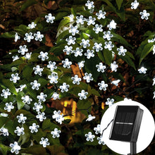 LED Solar Blossom String Lights