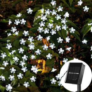 LED Solar Blossom String Lights