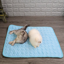 Summer Cooling Mats Ice Blanket For Pet