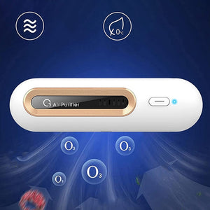 Sustainable Air Purifier
