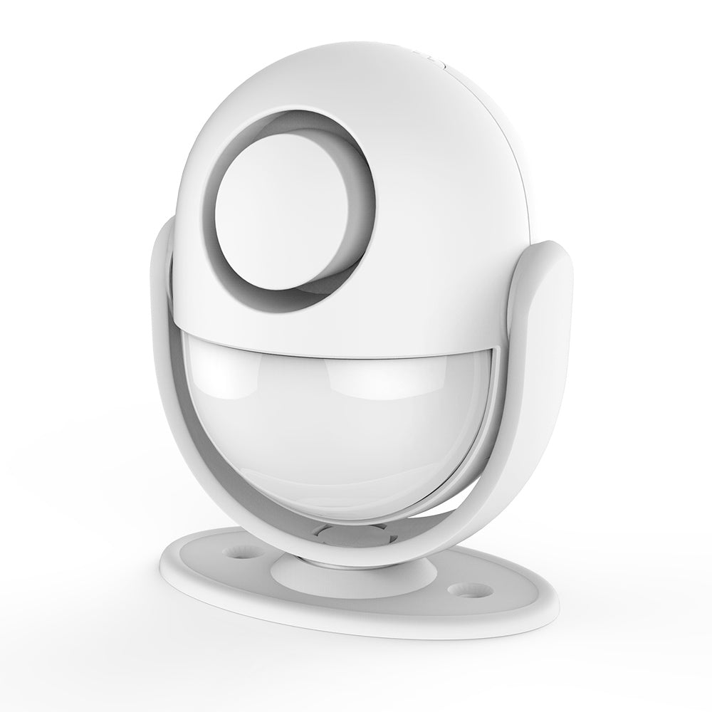Motion Sensor Burglar Alarm