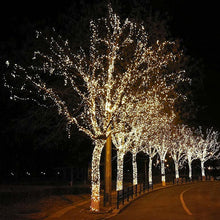 Solar-Powered LED Fairy Lights