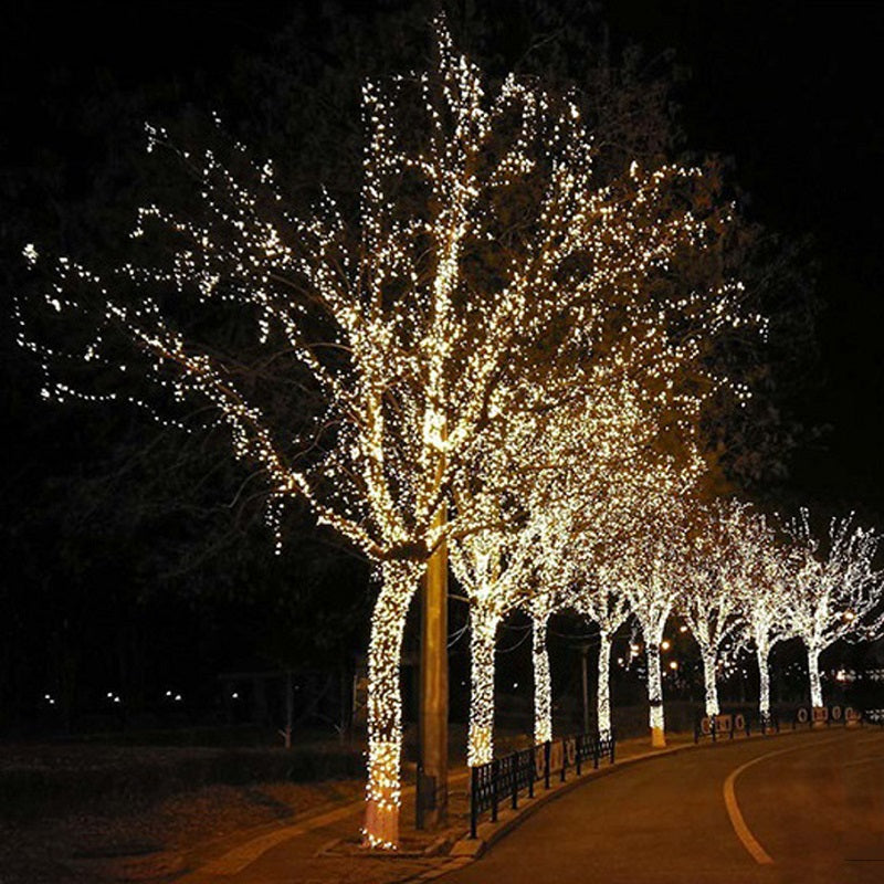 Solar-Powered LED Fairy Lights