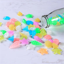Luminous Glowing Shell Shaped Stones