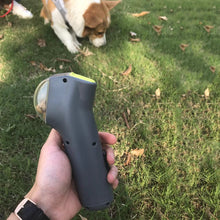 Pet Treat Launcher