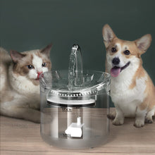 Pet Water Fountain Filter Drinker