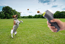 Pet Treat Launcher