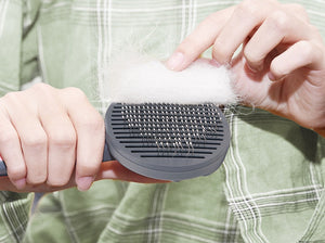 Pet Grooming Brush