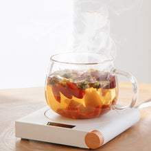 USB Heating Coasters Warmer Milk Tea Water Heating Pad