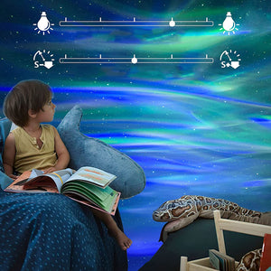 Northern Lights Aurora Projector