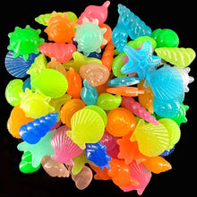 Luminous Glowing Shell Shaped Stones