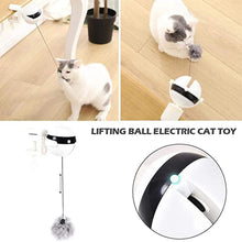 Interactive Pet Cat Toy