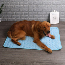 Summer Cooling Mats Ice Blanket For Pet