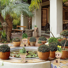 Flowerpot for Tiny Succulents Plants