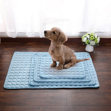 Summer Cooling Mats Ice Blanket For Pet