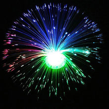 LED Starry Colorful Fiber Optic Lights
