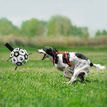 Interactive Training Dog Football Toy with Grab Tabs