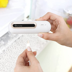 Sustainable Air Purifier