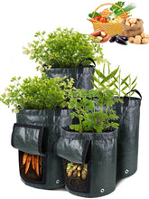 Reusable Potato Plant Grow Bags