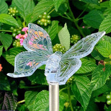 Solar Powered Color Changing Decorative Stake Lights